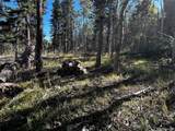 Lot 2652 Petito Drive - Photo 9