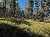 Lot 2652 Petito Drive - Photo 10