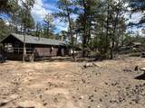 90 Letitia Drive - Photo 11