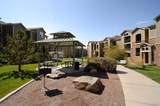 3000 Blue Sky Circle - Photo 14