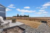 211 Fox Street - Photo 28