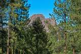 20202 Spring Creek Trail - Photo 11
