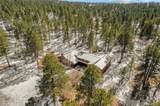 20202 Spring Creek Trail - Photo 12