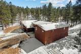 20202 Spring Creek Trail - Photo 46
