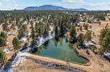 20202 Spring Creek Trail - Photo 48