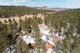 20202 Spring Creek Trail - Photo 49