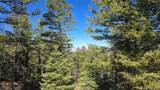 Lot 6034 Wood Road - Photo 11
