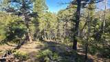 Lot 6034 Wood Road - Photo 6