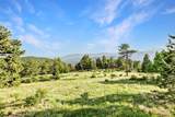 3965 Douglas Mountain Drive - Photo 43