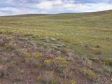 217 Black Gatto Trail - Photo 13