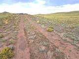 217 Black Gatto Trail - Photo 15