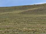 217 Black Gatto Trail - Photo 17