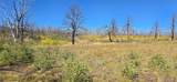Lot 1684 Emery Loop - Photo 11