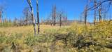 Lot 1684 Emery Loop - Photo 12