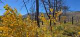 Lot 1684 Emery Loop - Photo 13