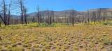 Lot 1684 Emery Loop - Photo 14