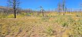 Lot 1684 Emery Loop - Photo 15