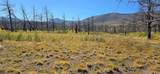 Lot 1684 Emery Loop - Photo 16