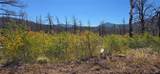Lot 1684 Emery Loop - Photo 17