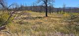 Lot 1684 Emery Loop - Photo 4