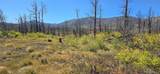 Lot 1684 Emery Loop - Photo 6
