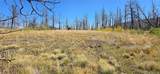 Lot 1684 Emery Loop - Photo 7