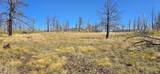 Lot 1684 Emery Loop - Photo 8