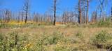 Lot 1684 Emery Loop - Photo 9