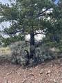 Lot 5056 France Aimee Road - Photo 2