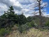 Lot 5056 France Aimee Road - Photo 11