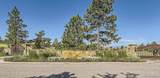10810 Tomboy Drive - Photo 3