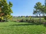 370 Golden Eagle Drive - Photo 47