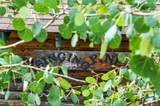 132 Jones Road - Photo 9