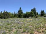 000 Peak View Ridge - Photo 2