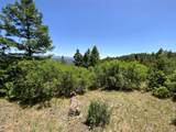 000 Peak View Ridge - Photo 11