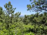 000 Peak View Ridge - Photo 12