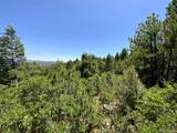000 Peak View Ridge - Photo 14