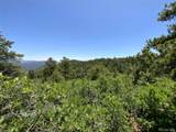 000 Peak View Ridge - Photo 18