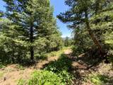 000 Peak View Ridge - Photo 26