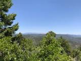 000 Peak View Ridge - Photo 28