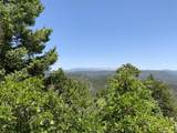000 Peak View Ridge - Photo 29