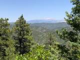 000 Peak View Ridge - Photo 31