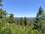 000 Peak View Ridge - Photo 32