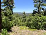 000 Peak View Ridge - Photo 36