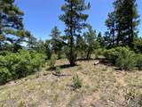 000 Peak View Ridge - Photo 37