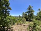 000 Peak View Ridge - Photo 39