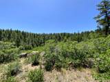 000 Peak View Ridge - Photo 42