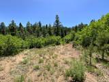 000 Peak View Ridge - Photo 45