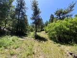 000 Peak View Ridge - Photo 47