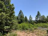 000 Peak View Ridge - Photo 8